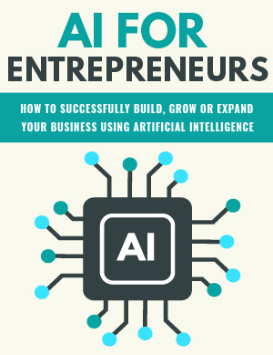 AI For Entrepreneurs PLR Product