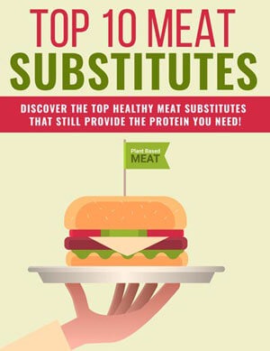 Meat Substitutes PLR eBook