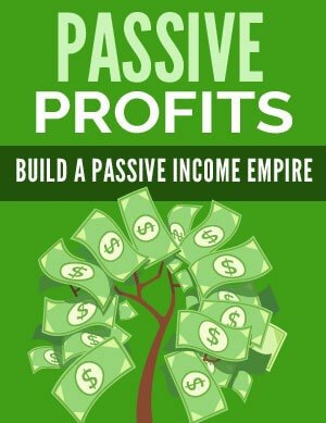 Passive Profits PLR eBook
