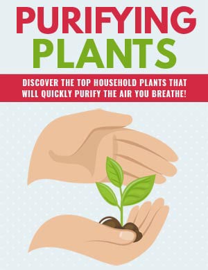 Purifying Plants PLR eBook
