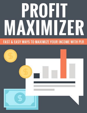 Profit Maximizer PLR eBook