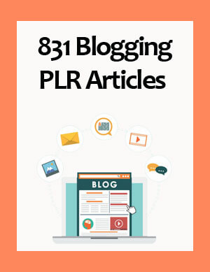 blogging plr articles